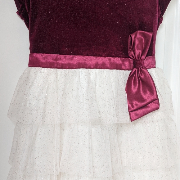Beautiful Jona Michelle Girls Tulle Dress, Sz 12 - Picture 8 of 16